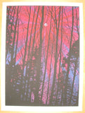 2010 Pink Moon - Silkscreen Art Print by Dan McCarthy