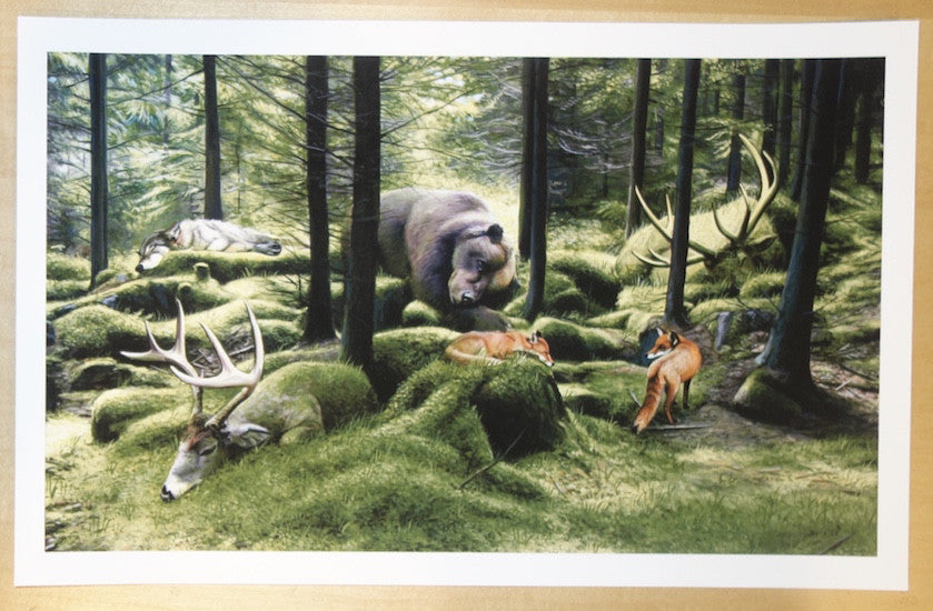 2014 Sleeping Woods - Giclee Fine Art Print by Josh Keyes