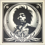 2014 Hear My Freedom - Silkscreen Art Print by Shepard Fairey