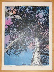 2010 Aspens - Stencil Art Print by Ian Millard